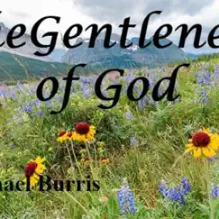 The Gentleness of God - Single by Michael Burris album reviews, ratings, credits