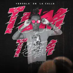 Tum Tum - Single by Yerobla album reviews, ratings, credits