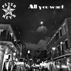 All You Want Song Lyrics