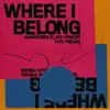 Where I Belong (N.F.I Remix) - Single album lyrics, reviews, download