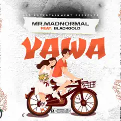 Yawa (feat. Blackgold) - Single by Mrmadnormal album reviews, ratings, credits