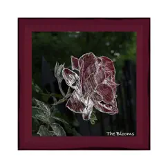 The Blooms - Single by Zcr album reviews, ratings, credits