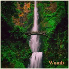 Womb - Single by Ashé Om album reviews, ratings, credits