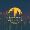 I Keep Working Home - Single album lyrics, reviews, download