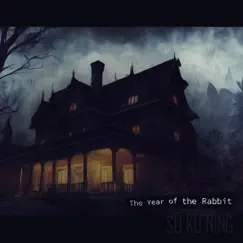 The Year of the Rabbit - Single by SU KU NING album reviews, ratings, credits
