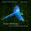 Perfect Wellbeing: Classical Guitar & Nature Sounds album lyrics, reviews, download