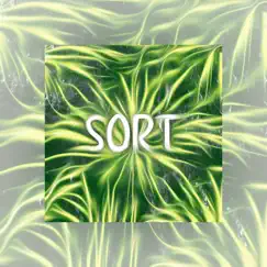 Sort - Single by Gordi & Lendo album reviews, ratings, credits