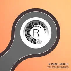 You Took Everything - Single by Michael Angelo album reviews, ratings, credits
