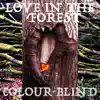 Love in the Forest (feat. J & Trephena) - Single album lyrics, reviews, download