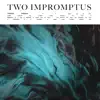 Two Impromptus - Single album lyrics, reviews, download