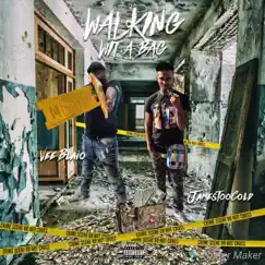 Walking Wit a Bag (feat. James Too Cold) - Single by Vee Blaio album reviews, ratings, credits