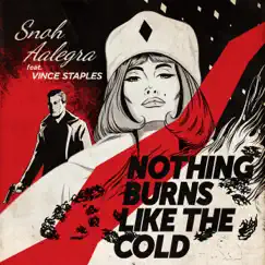 Nothing Burns Like the Cold (feat. Vince Staples) - Single by Snoh Aalegra album reviews, ratings, credits