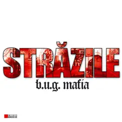 Strazile (Maxi-Single) - EP by B.u.g. mafia album reviews, ratings, credits