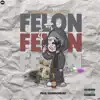 Felon (feat. J Hundo) - Single album lyrics, reviews, download