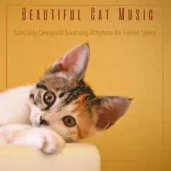 Beautiful Cat Music: Specially Designed Music for Feline Sleep by Cat Music Dreams & Cat Music Therapy album reviews, ratings, credits