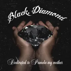 Black Diamond - Single by Big$lime album reviews, ratings, credits