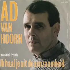 Ik Haal Je Uit De Eenzaamheid - Single by Ad van Hoorn album reviews, ratings, credits