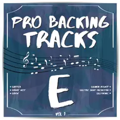 Pro Backing Tracks E, Vol.7 by Pop Music Workshop album reviews, ratings, credits