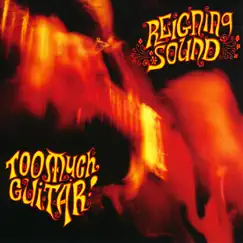 Too Much Guitar by Reigning Sound album reviews, ratings, credits