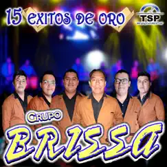 15 Éxitos de Oro (En Vivo) by Grupo Brissa album reviews, ratings, credits