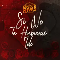 Si No Te Hubieras Ido - Single by Ernesto Rivas album reviews, ratings, credits