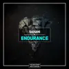 Endurance - Single album lyrics, reviews, download