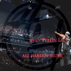 Feelin Like (feat. SNS) - Single by All Harlem Music album reviews, ratings, credits