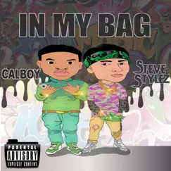 In My Bag (feat. Calboy) - Single by Steve Stylez album reviews, ratings, credits