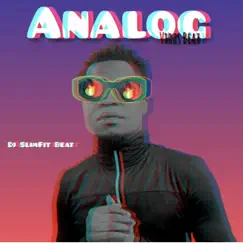 Analog Virus Beat - Single by Dj Slimfit Beat album reviews, ratings, credits