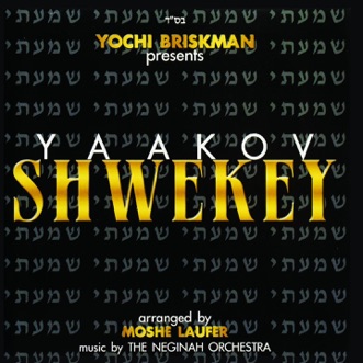 i am alive yaakov shwekey