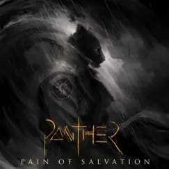 PANTHER by Pain of Salvation album reviews, ratings, credits
