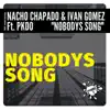 Nobodys Song (feat. PKDO) - Single album lyrics, reviews, download