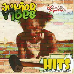 Hits: A Compilation Album by Junior Vibes album reviews, ratings, credits