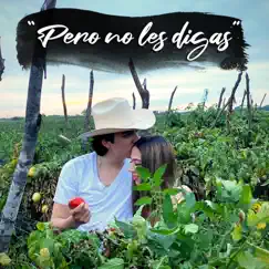 Pero No Les Digas - Single by Raúl Hernández Jr. album reviews, ratings, credits