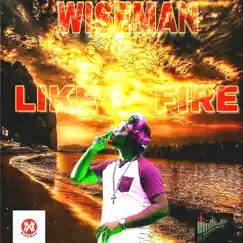 Like Fire - Single by Wiseman album reviews, ratings, credits