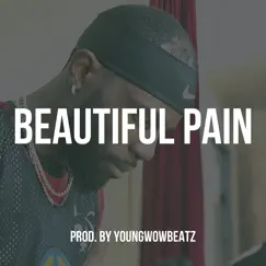Beautiful Pain Song Lyrics