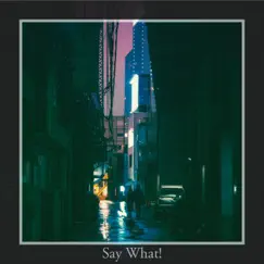 Say What! - Single by D-Real [愛] album reviews, ratings, credits