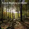 Relaxing Sounds Created By Nature, Vol. 1  album lyrics, reviews, download