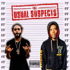 The Usual Suspects by Rico 2times album reviews, ratings, credits