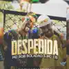 Despedida song lyrics