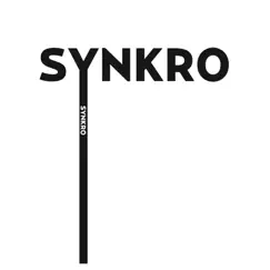 Everyday - Single by Synkro album reviews, ratings, credits
