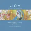 Joy (Meditation Soundtrack) [feat. Danielle de Picciotto & Alexander Hacke] album lyrics, reviews, download