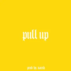 Pull Up (feat. Trillwavy & Mami Loop) Song Lyrics
