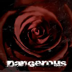 Dangerous (Instrumental) Song Lyrics