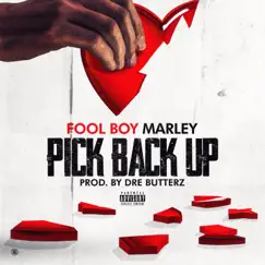 Pick Back Up - Single by Fool Boy Marley album reviews, ratings, credits