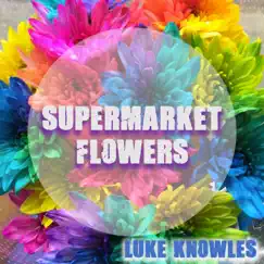 Supermarket Flowers Song Lyrics