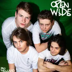Open Wide - Single by Bo Welland album reviews, ratings, credits