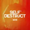 Self Destruct - Single album lyrics, reviews, download
