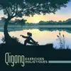 Qigong: Exercices holistiques, Posture corporelle, Respiration rythmique, Mouvement, Méditation album lyrics, reviews, download