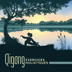 Qigong: Exercices holistiques, Posture corporelle, Respiration rythmique, Mouvement, Méditation by Zen Méditation Ambiance album reviews, ratings, credits